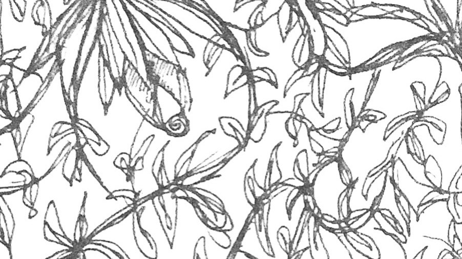 Botanical sketch background